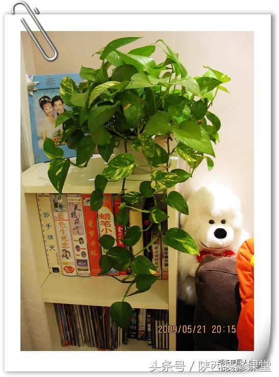 100平小户型房屋装修,10平家用单间装修设计小窝