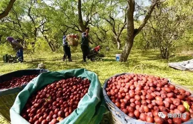 黄河三峡旅游攻略跟团,黄河三峡的攻略