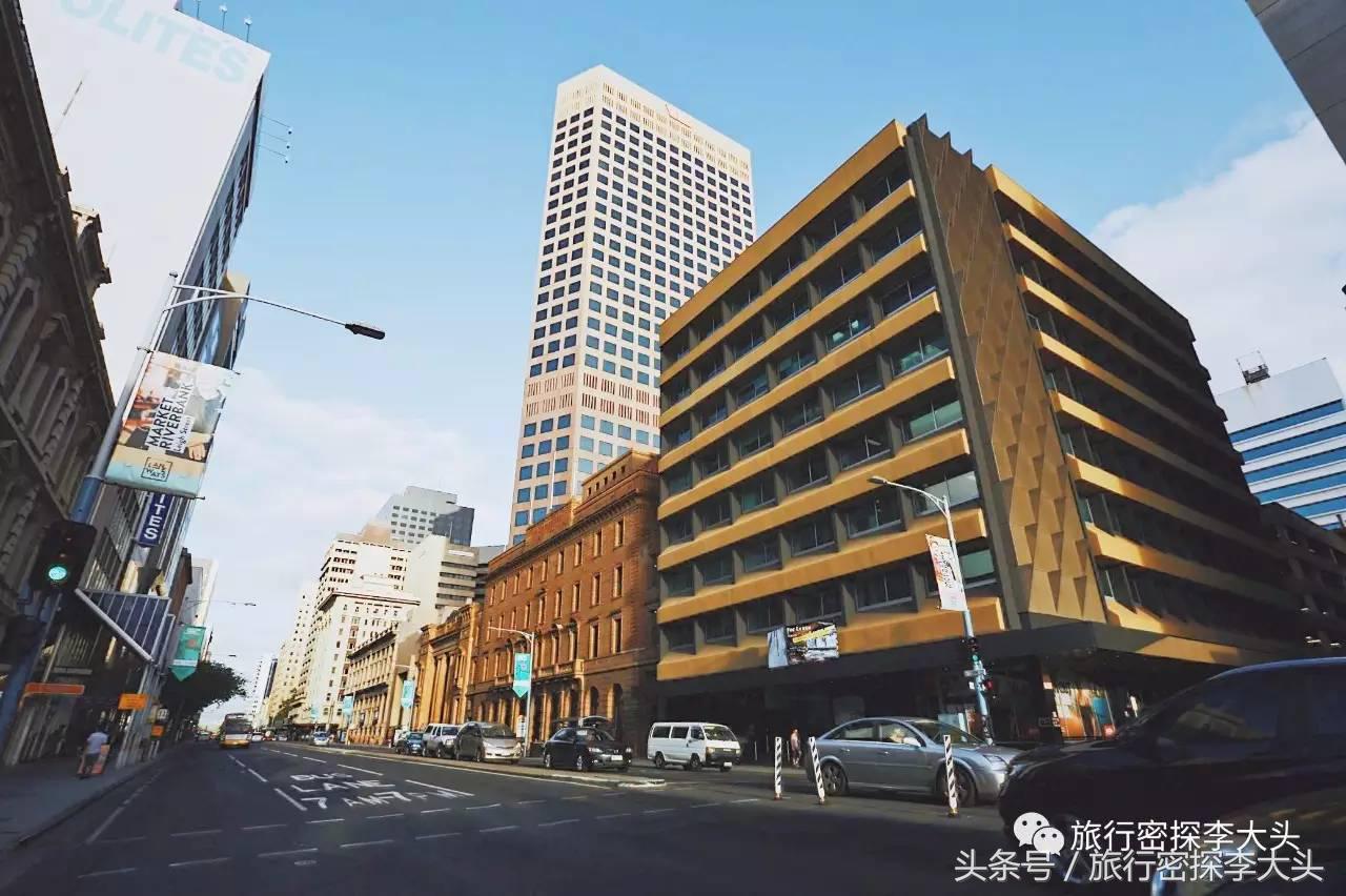 中国哪里可以抱考拉,全球哪里可以抱考拉