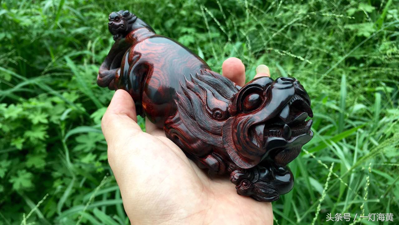 降香“有毒”，爱上海黄就是条“不归路”，带您领略真正在海黄