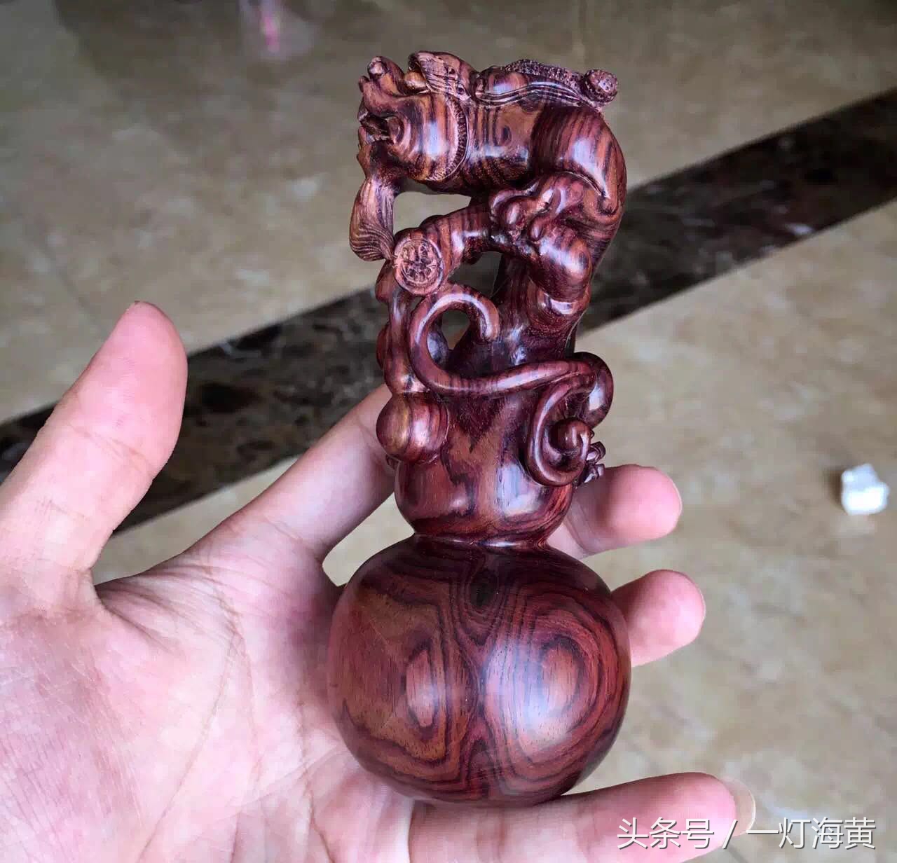 降香“有毒”，爱上海黄就是条“不归路”，带您领略真正在海黄