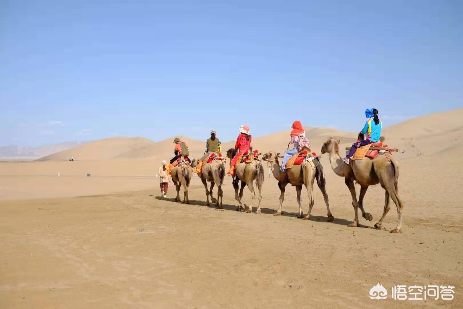 遇见莫高窟，从武汉出发，行走青海湖大环线攻略