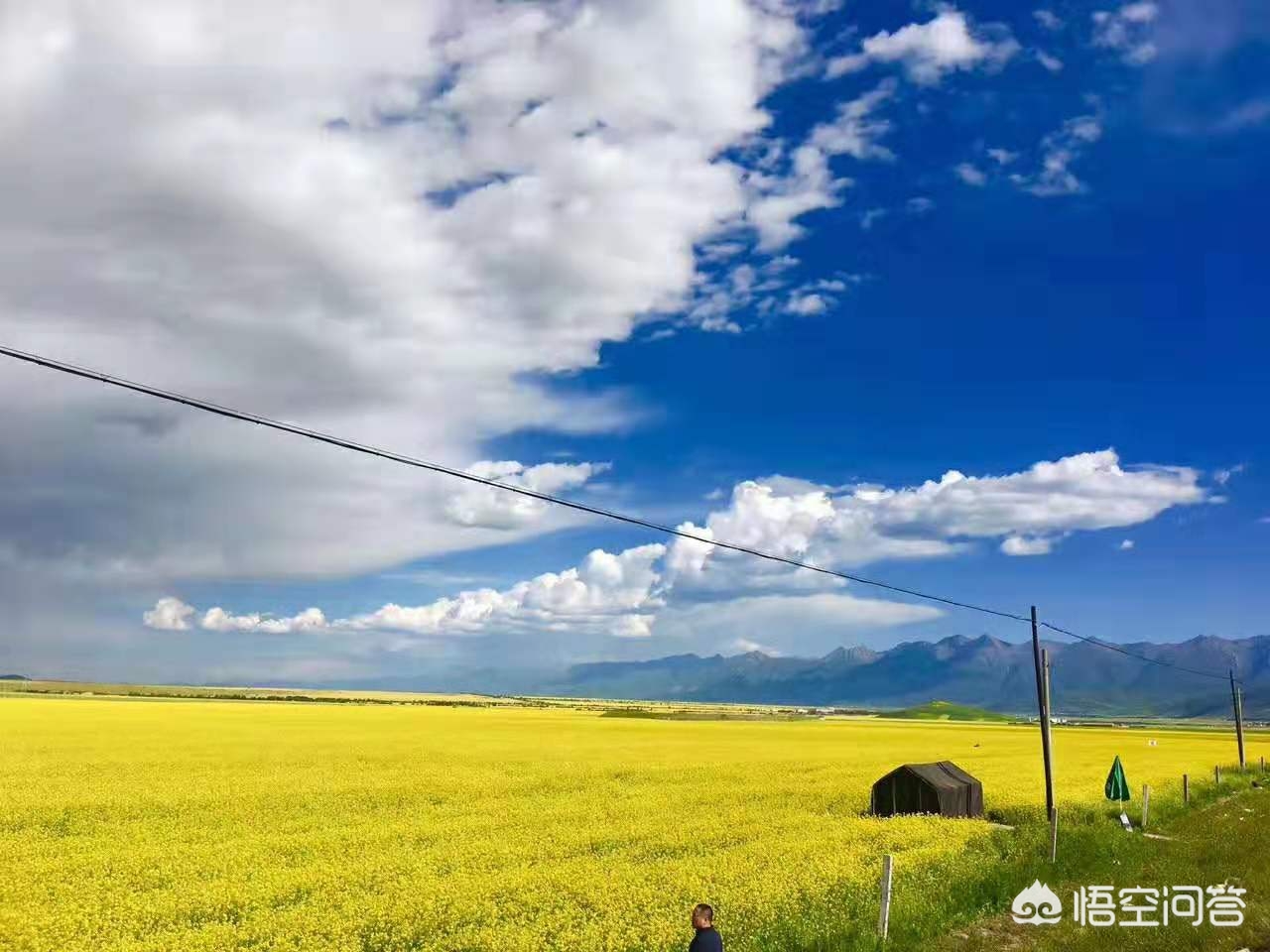 遇见莫高窟，从武汉出发，行走青海湖大环线攻略