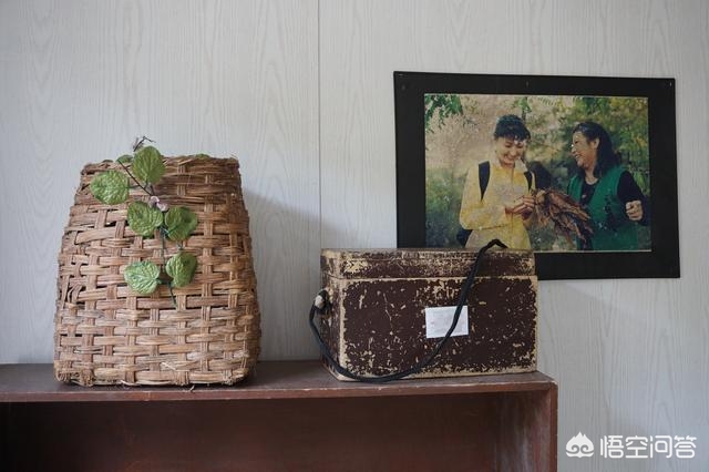 刘老根龙泉山庄怎么样,刘老根的龙泉山庄对外开放吗