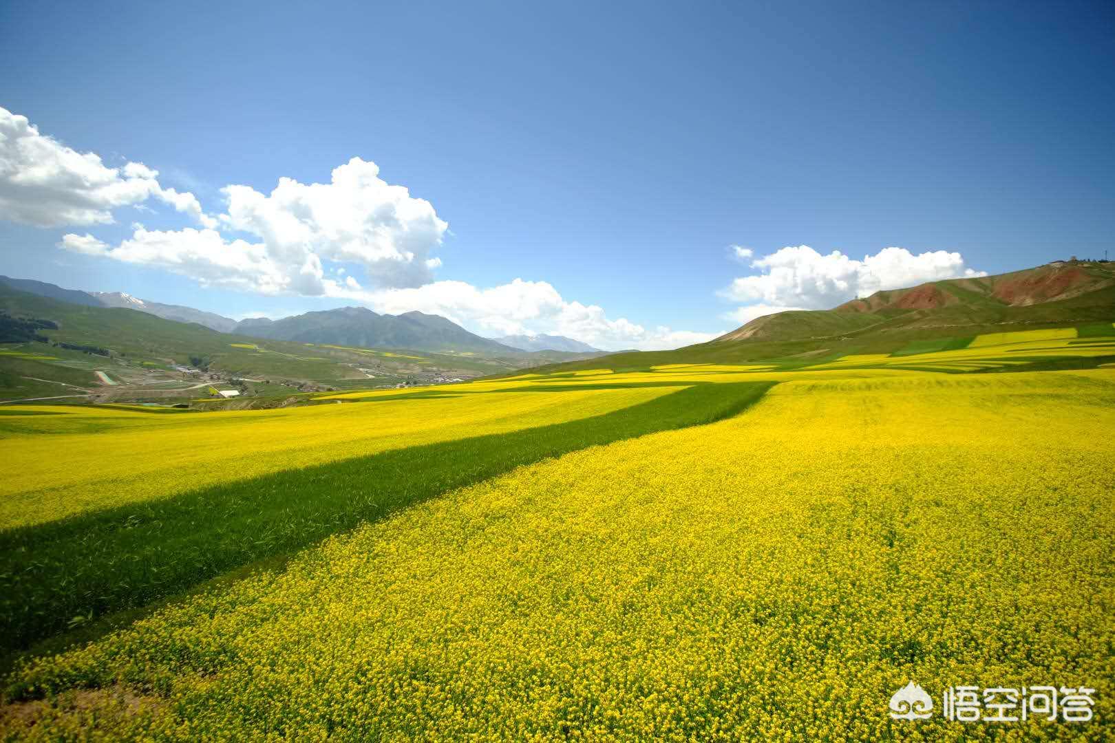 遇见莫高窟，从武汉出发，行走青海湖大环线攻略
