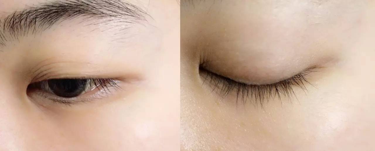 种草机｜我有一支睫毛膏，它是我的睫毛“放大器”！