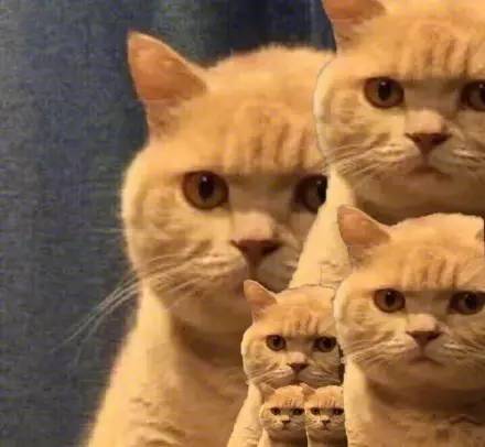 快看！点点的一家！