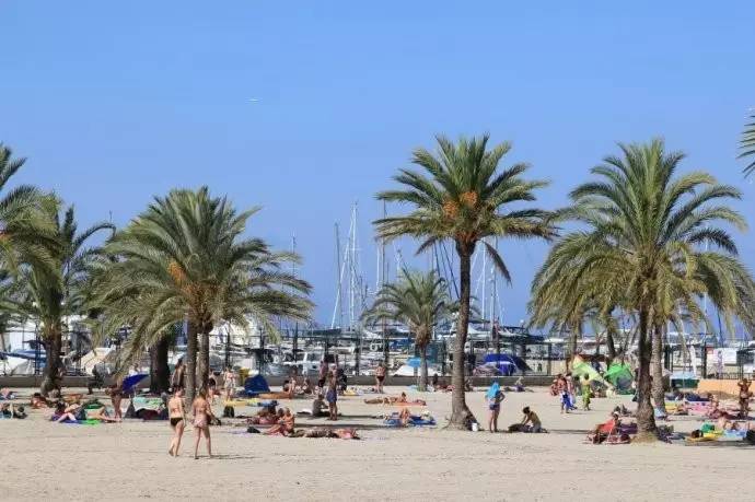 梦幻西游小岛旅行,梦幻西游约会地方