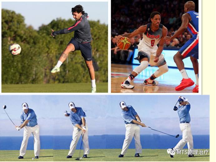 半月板撕裂,半月板资料