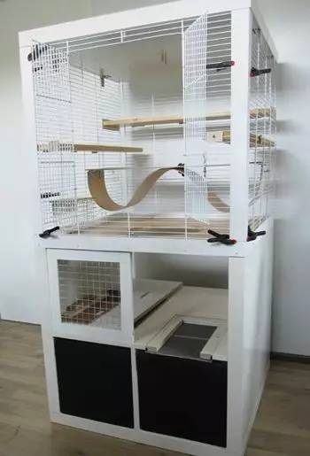 想要属于自己的东西为什么,想要属于自己的东西