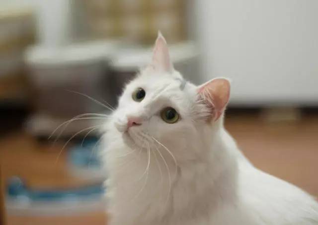 想要属于自己的东西为什么,想要属于自己的东西