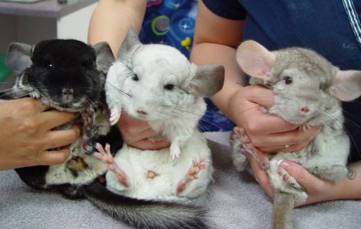 想要属于自己的东西为什么,想要属于自己的东西