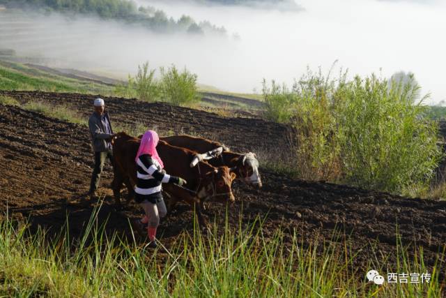 探寻劳动之美,诠释劳动之美