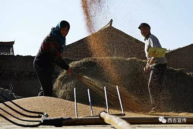 探寻劳动之美,诠释劳动之美