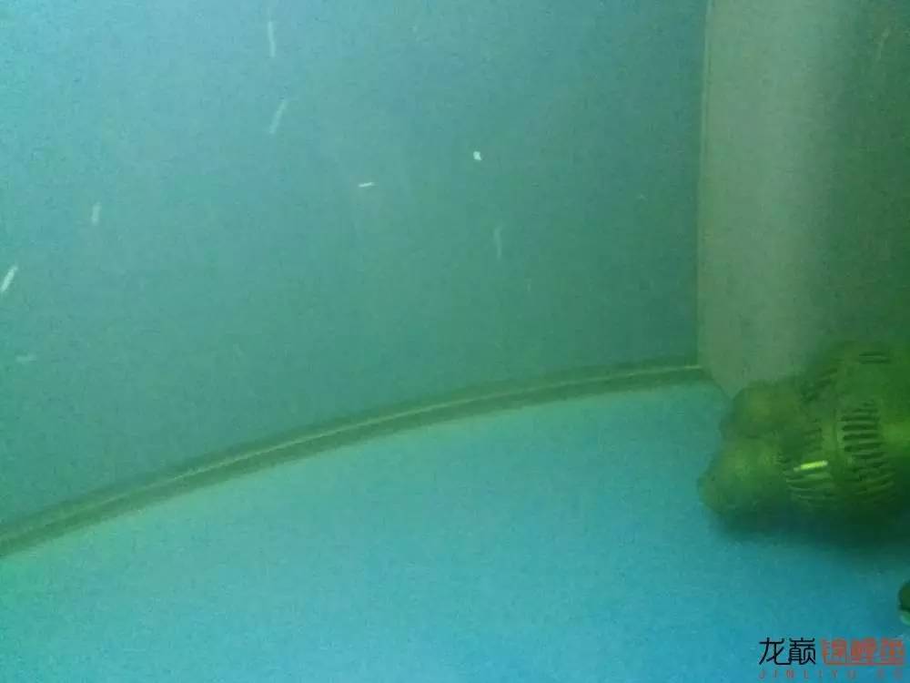 蒙药治眼疾,蒙医治眼奇方效果怎么样