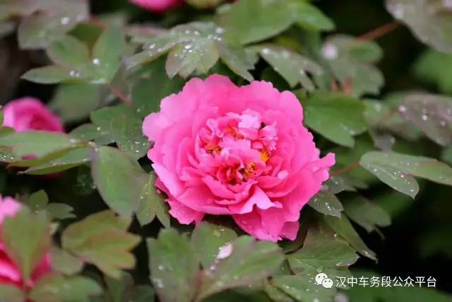 微微一调有变化：汉中车务段管内主要车站最新列车时刻