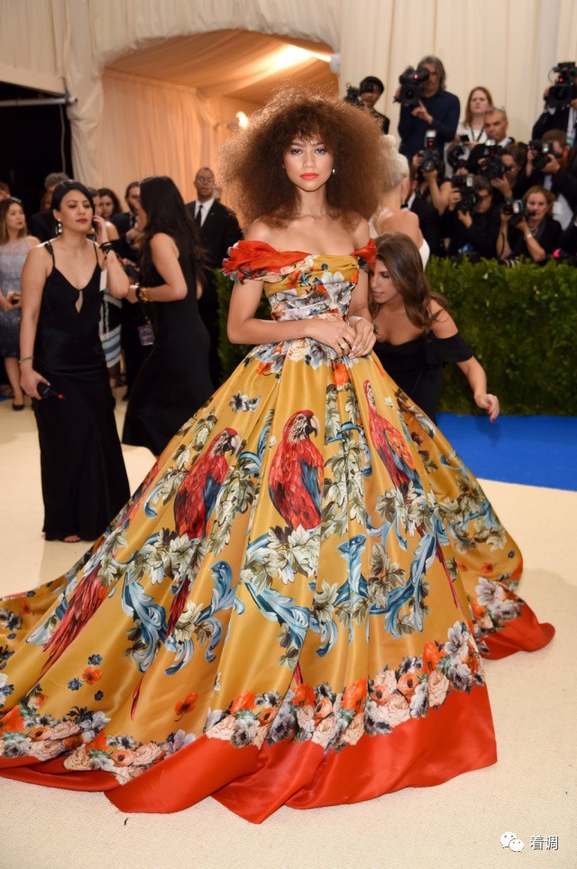 韩寒画韩红什么意思,韩寒韩红画画