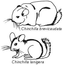 想要属于自己的东西为什么,想要属于自己的东西