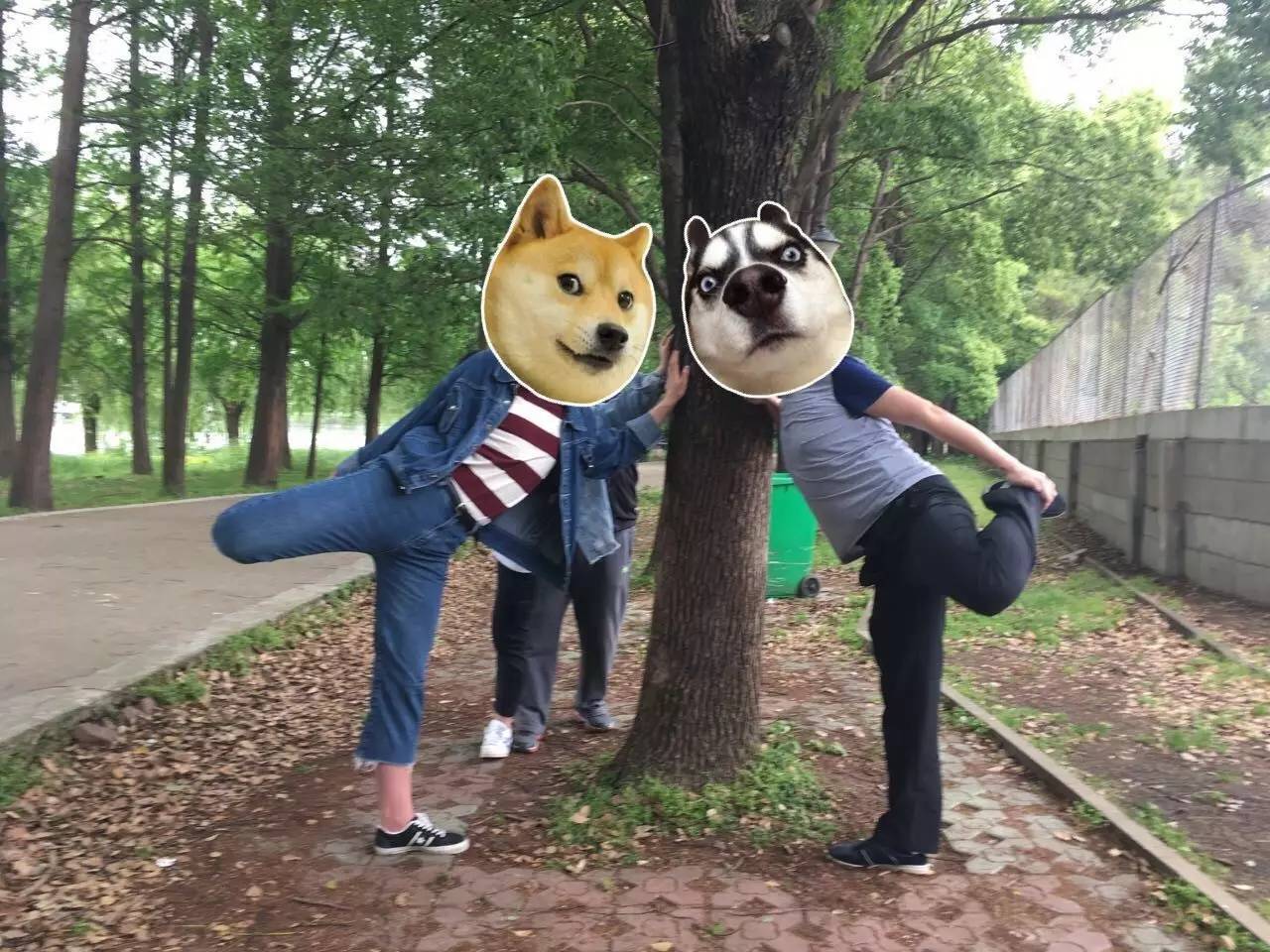 如何体测时保持优美形象,体测技巧和方法