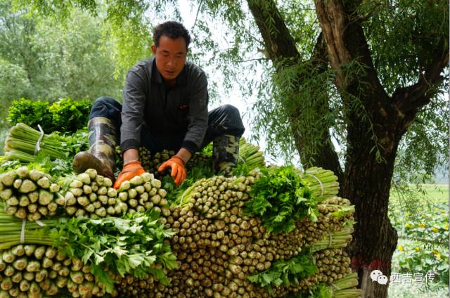 探寻劳动之美,诠释劳动之美