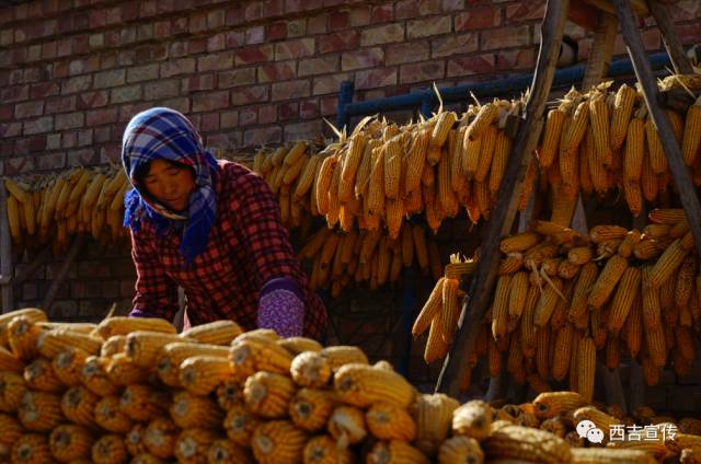 探寻劳动之美,诠释劳动之美