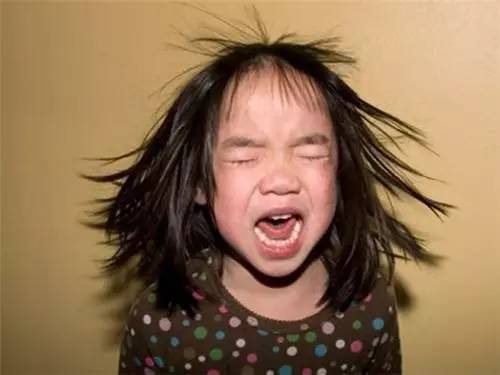 中医湿热体质如何调养,湿热体质怎么饮食调理