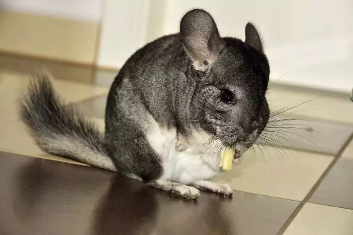 想要属于自己的东西为什么,想要属于自己的东西