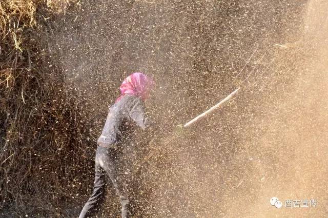 探寻劳动之美,诠释劳动之美