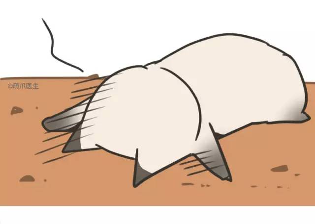 暹罗猫挖煤,挖煤队长暹罗猫