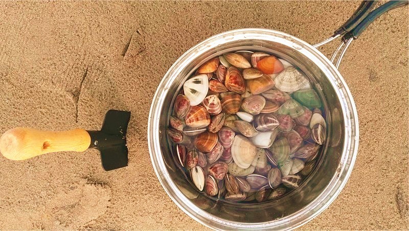 浙江最适合露营的6个好去处,浙江最佳的露营之地