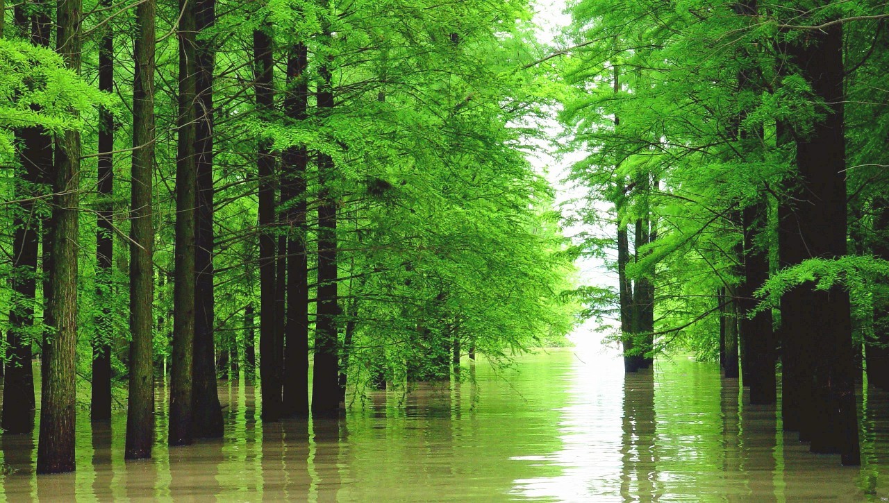 浙江最适合露营的6个好去处,浙江最佳的露营之地