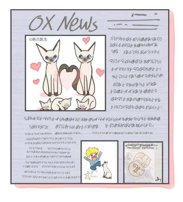 暹罗猫挖煤,挖煤队长暹罗猫