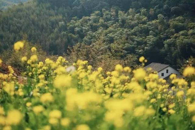 能让《人民的名义》中的“望北楼”都OUT的，竟然是这些民宿！