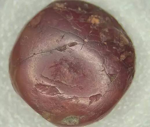 巫新华,峨边县巫新华