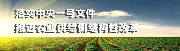 生意跑了粤语怎么说,生意跑路全身而退