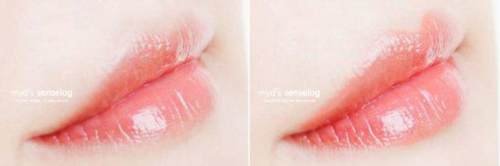 用过500支口红的博主说，你只需要这12支