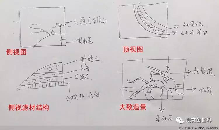 原生水陆缸开缸过程,超美摄影师