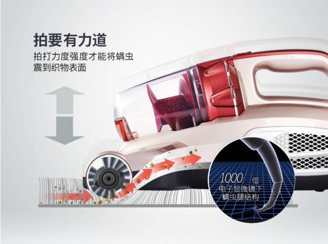 小一点的螨虫怎么消除,小螨虫最怕什么药