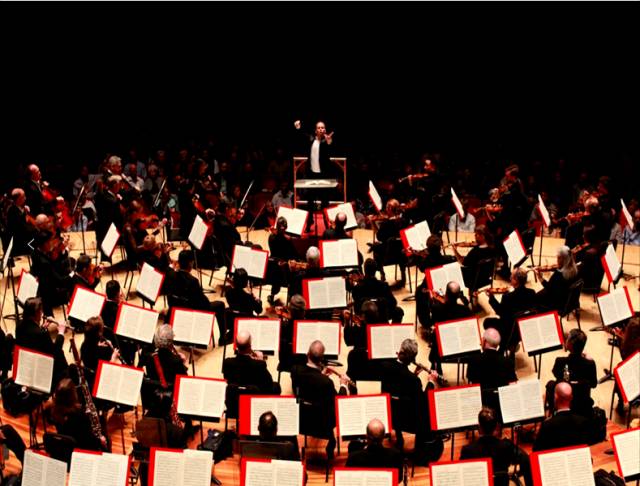 魔都活动全渠道,魔都近期活动