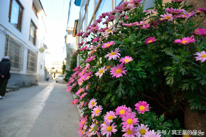 云南小伙租车游云南,云南自驾七日游最全攻略