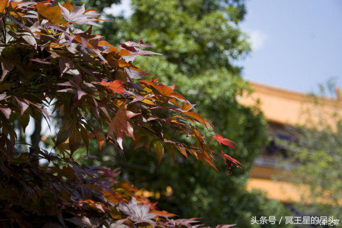 云南小伙租车游云南,云南自驾七日游最全攻略