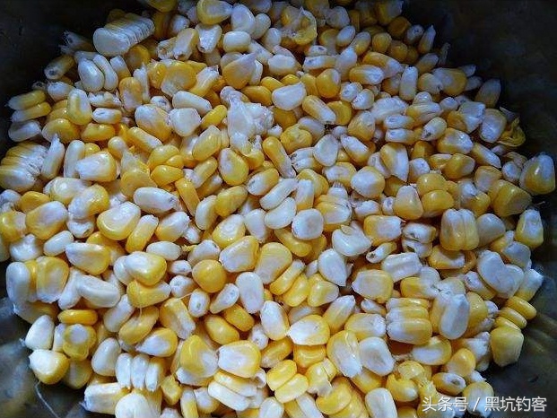 水质太肥怎么钓鱼,水质偏肥该如何垂钓