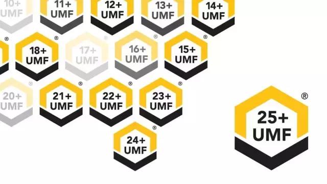 麦卢卡多少钱,麦卢卡为什么贵