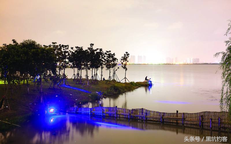 水质太肥怎么钓鱼,水质偏肥该如何垂钓