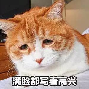 收到的奇葩礼物有哪些,这些你不知道的奇葩礼物