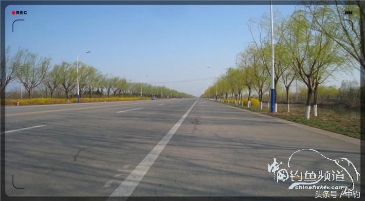 放流才有路亚的乐趣,放流能让资源更丰富