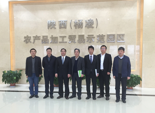 中北建设集团,中北建设集团现状