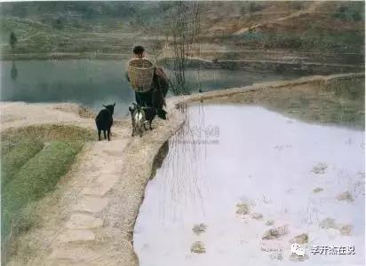 短篇小说湖水,失去记忆的小溪