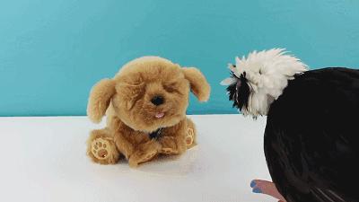 给女儿买什么玩具比较合适,7种儿童玩具推荐给新手父母