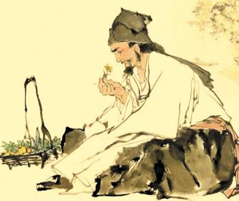 古人的才情让人拍案叫绝，一首诗里竟然藏了这么多中草药